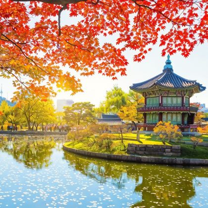 韩国首尔6日5晚私家团