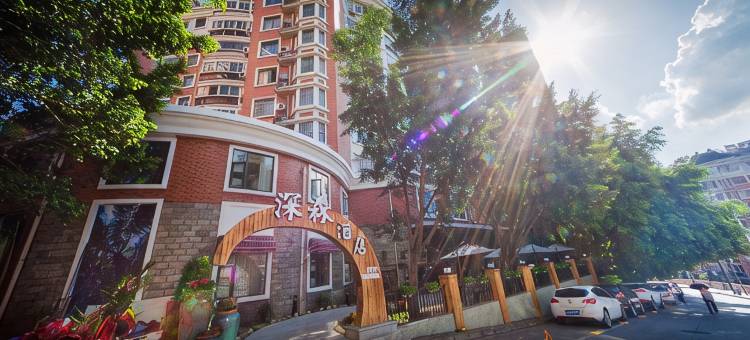 攀枝花深森酒店图片