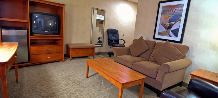 棕榈花园贝斯特韦斯特酒店(Best Western Palm Garden Inn)图片