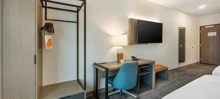 纳什维尔舒适酒店及套房(Comfort Inn & Suites)图片
