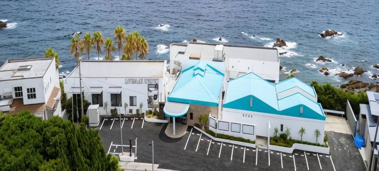 利夫马克斯度假酒店印南海滨(Livemax Resort Inamiseafront)图片