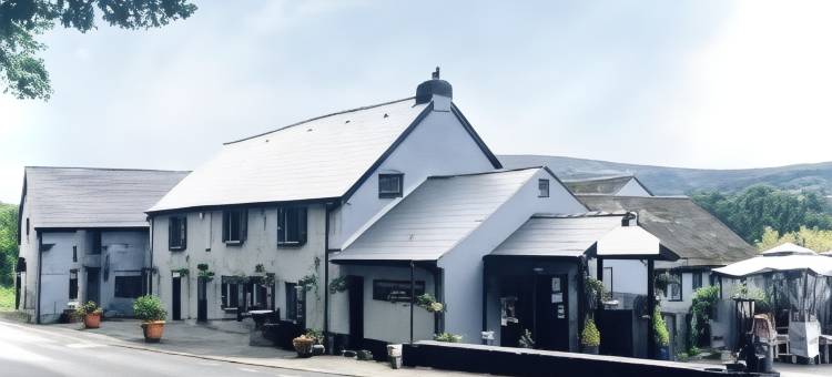 兰韦纳斯路边旅馆(Roadhouse Llanwenarth)图片