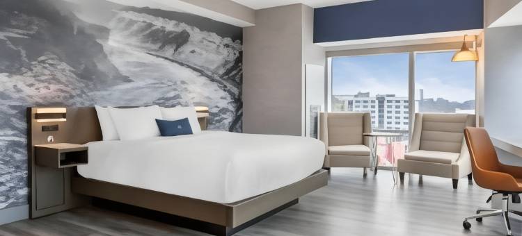 坎布里亚酒店-尼亚加拉瀑布(Cambria Hotel Niagara Falls)图片