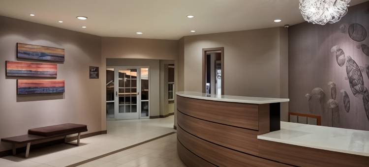 底特律诺维Residence Inn 酒店(Residence Inn Detroit Novi)图片