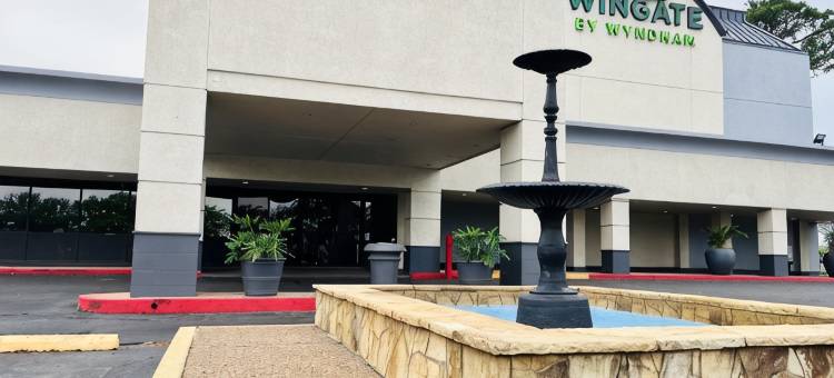 温盖特休斯敦NRG公园/医学中心酒店(Wingate Houston Near NRG Park/Medical Center)图片