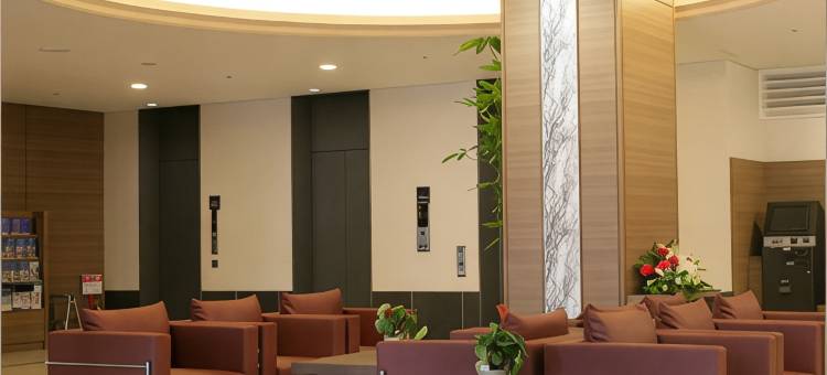 筑波大和鲁内酒店(Daiwa Roynet Hotel Tsukuba)图片