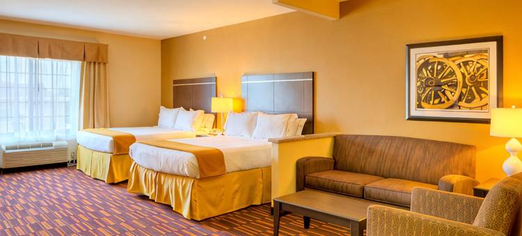格兰伯瑞智选假日酒店及套房(Holiday Inn Express & Suites GRANBURY by IHG)图片