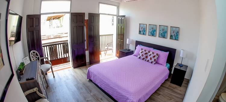 310旅馆拉维达(310Guest-House LaVida)图片