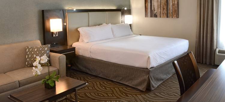 Holiday Inn 扬斯敦南(博德曼)(Holiday Inn YOUNGSTOWN-SOUTH (BOARDMAN) by IHG)图片