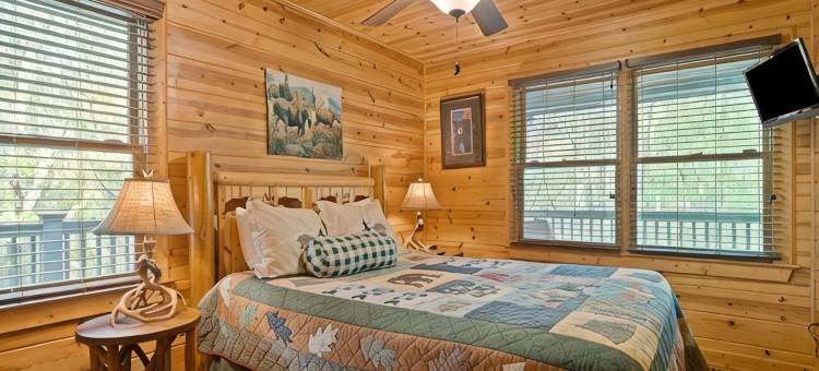 距蓝岭市中心数分钟静谧温馨-宠物友好-山间度假木屋(Tucked Away, Cozy-Pet Friendly-Mountain Getaway Minutes to Downtown Blue Ridge)图片