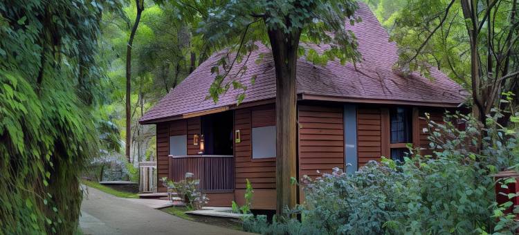 库格塔玛拉酒店(The Tamara Coorg)图片