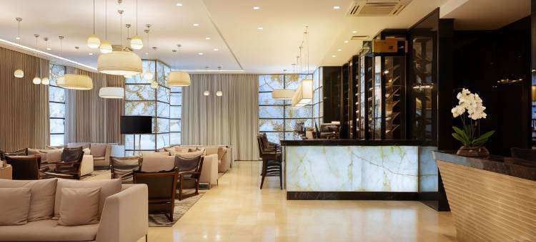 巴尔米拉商务俱乐部旅馆(Palmira Business Club)图片