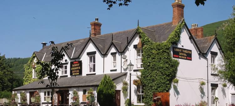阿贝戈兰奇酒店(Abbey Grange Hotel)图片
