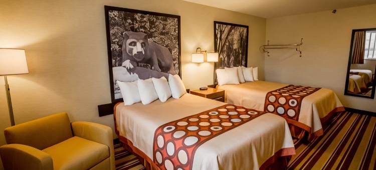 州立学院温德姆速8酒店(Super 8 by Wyndham State College)图片