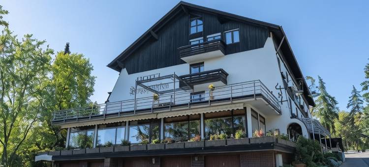 博尔格施洛申酒店(Hotel Bergschlößchen)图片