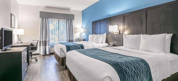 盖恩斯维尔大学舒适酒店(Comfort Inn University)图片