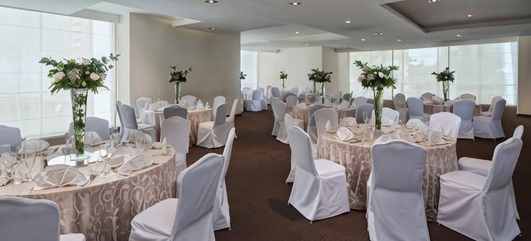 Holiday Inn 危地马拉(Holiday Inn Guatemala)图片