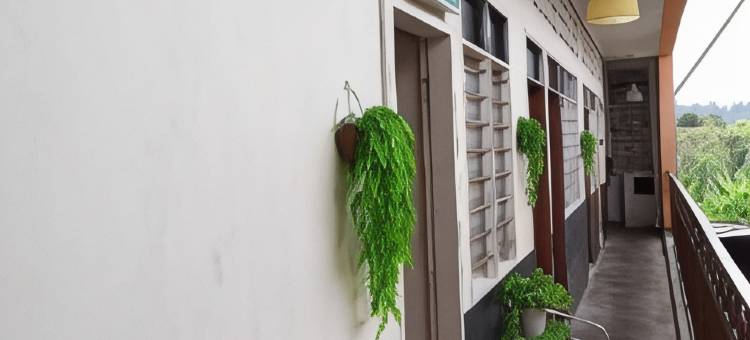 Rz 黄金酒店(Rz Gold Hotel)图片