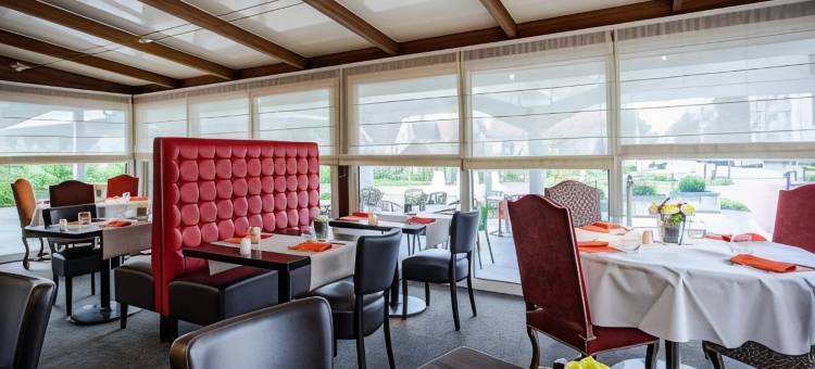 阿格诺欧洲 SPA 酒店(Europe Haguenau – Hotel & Spa)图片