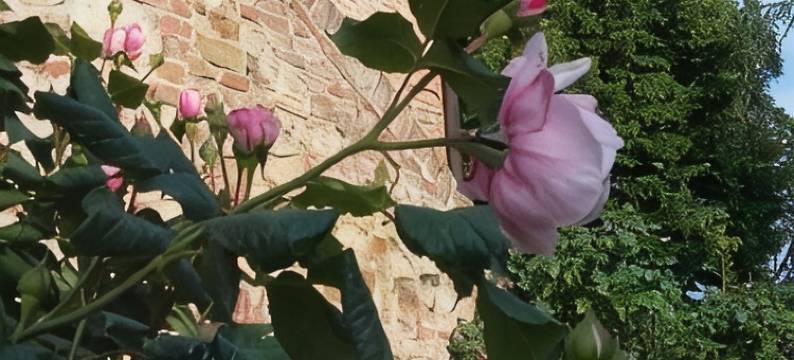 弗拉特里亚圣贝内代托旅馆(Frateria di San Benedetto)图片