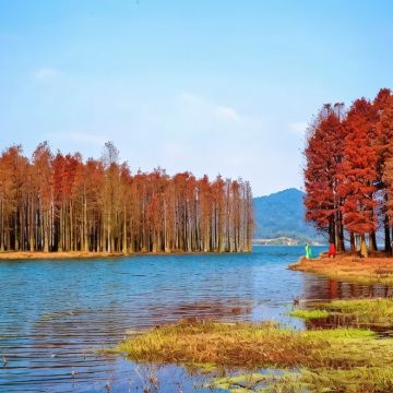 余姚+丹山赤水+柿林村+四明湖+茅镬村古树林+雪花潭景区3日2晚私家团