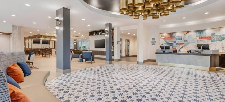 坦帕布兰登坎布里亚酒店(Cambria Hotel Tampa-Brandon)图片