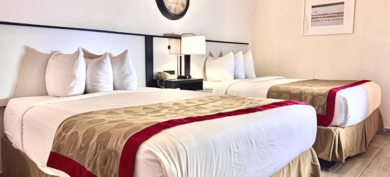 伯明翰机场华美达酒店(Ramada by Wyndham Birmingham Airport)图片