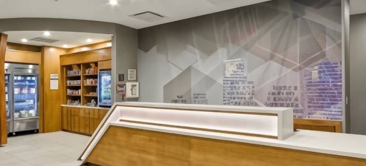 辛辛那提布鲁艾施SpringHill Suites酒店(SpringHill Suites Cincinnati Blue Ash)图片