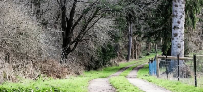 Drumreagh Cabins图片