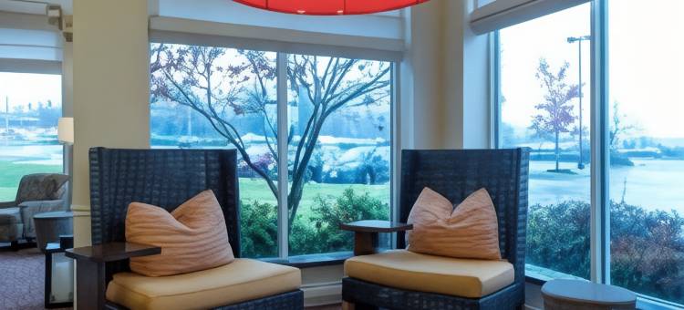 巴尔的摩奥因斯米尔斯希尔顿花园酒店(Hilton Garden Inn Baltimore/Owings Mills)图片