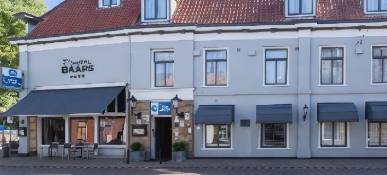 巴斯贝斯特韦斯特酒店(Best Western Hotel Baars)图片