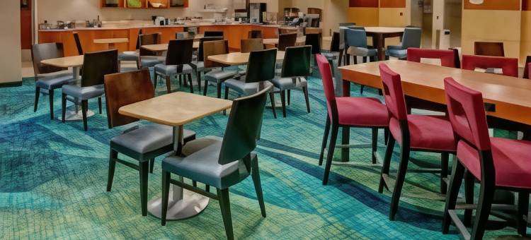 诺福克奥多明尼昂大学 SpringHill Suites 酒店(SpringHill Suites Norfolk Old Dominion University)图片