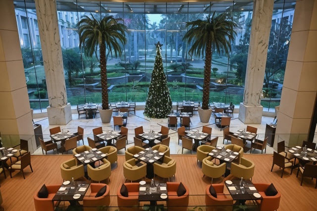 The Grand New Delhi Hotel Overview