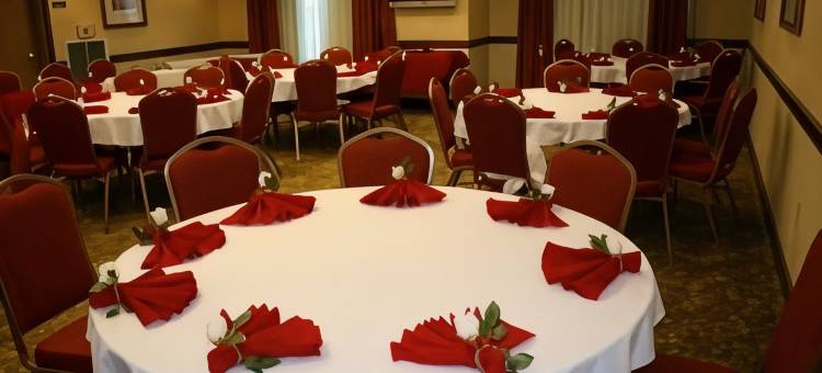 彼得斯堡丽怡酒店(Country Inn & Suites by Radisson, Petersburg, VA)图片