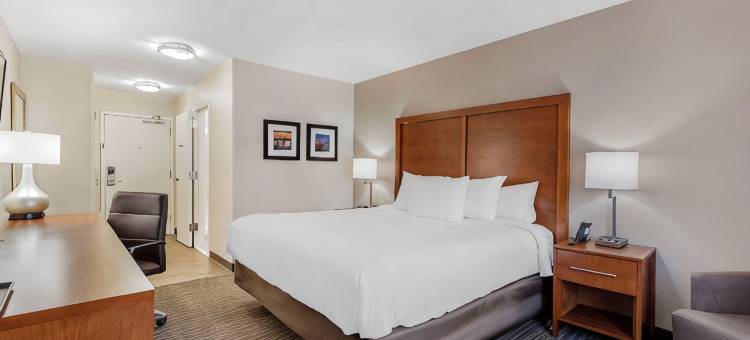 舒适套房酒店(Comfort Inn & Suites)图片