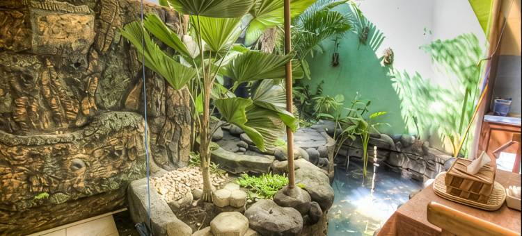 The Homey Rooms and Tours图片