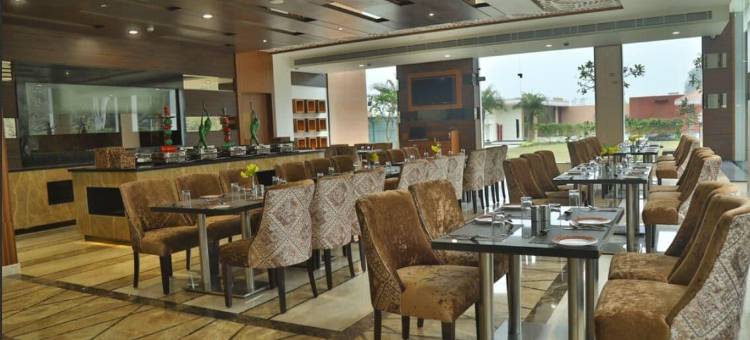 布利斯科贝特(The Bliss Corbett)图片