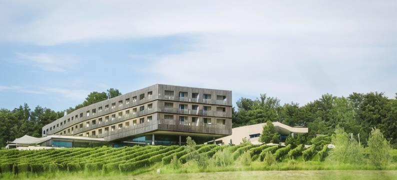 苏德斯特马克路易斯葡萄酒水疗度假酒店(Loisium Wine & Spa Resort Sudsteiermark)图片