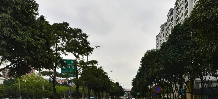 南宁柏宁精品酒店图片