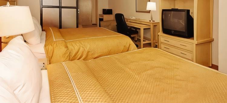 富尔顿戴尔I-65附近I-22舒适套房酒店(Comfort Suites Fultondale I-65 Near I-22)图片