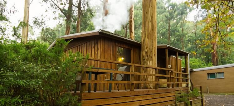 Tarra Valley精品酒店(Tarra Valley Retreat)图片