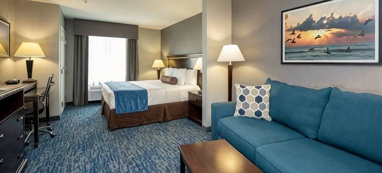 西布鲁克- 克马赫舒适套房酒店(Comfort Suites Seabrook - Kemah)图片