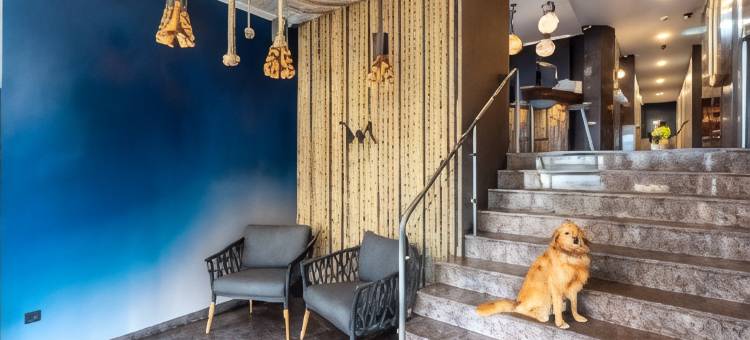 吕贝克市中心美居酒店(Mercure Hotel Luebeck City Center)图片