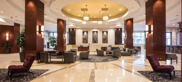 罗利市中心万豪酒店(Raleigh Marriott City Center)图片