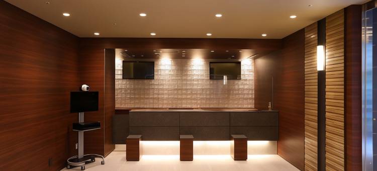 东京池袋多美迎天然温泉酒店(多美迎・御宿野乃 酒店集团)(Dormy Inn Ikebukuro Natural Hot Spring)图片