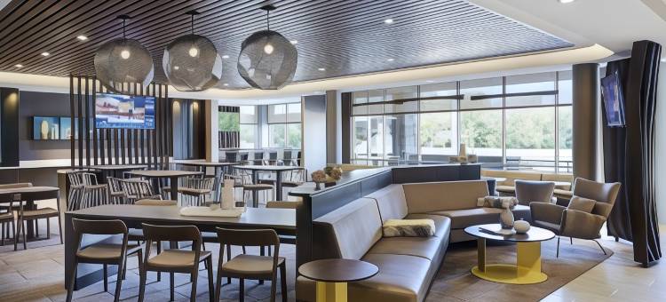 达拉斯曼斯费尔德万豪SpringHill Suites酒店(SpringHill Suites Dallas Mansfield)图片