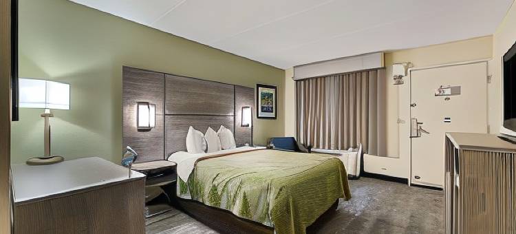 机场-东南凯艺酒店(Quality Inn Airport - Southeast)图片