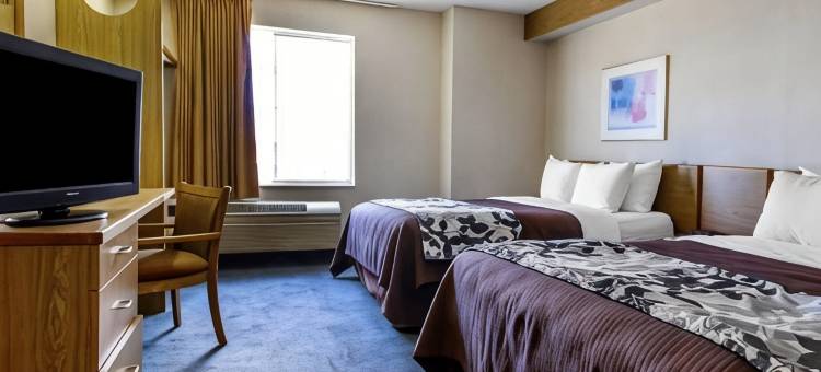 希尔顿埃尔帕索大学Spark(Spark by Hilton El Paso University)图片