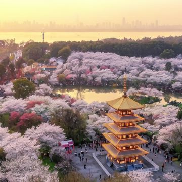 武汉+长江三峡+重庆6日5晚跟团游