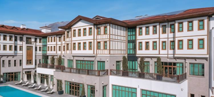 番红花卢希尔顿花园酒店(Hilton Garden Inn Safranbolu)图片